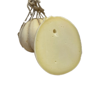 Caciocaciotta
