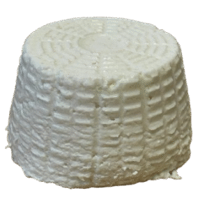 Ricotta